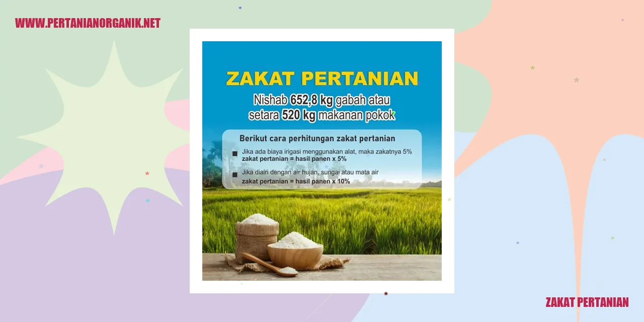 zakat pertanian