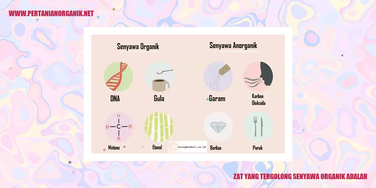 zat yang tergolong senyawa organik adalah